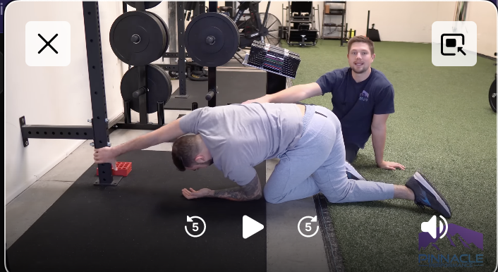 all-four-posterial-stretch-hip.png|450